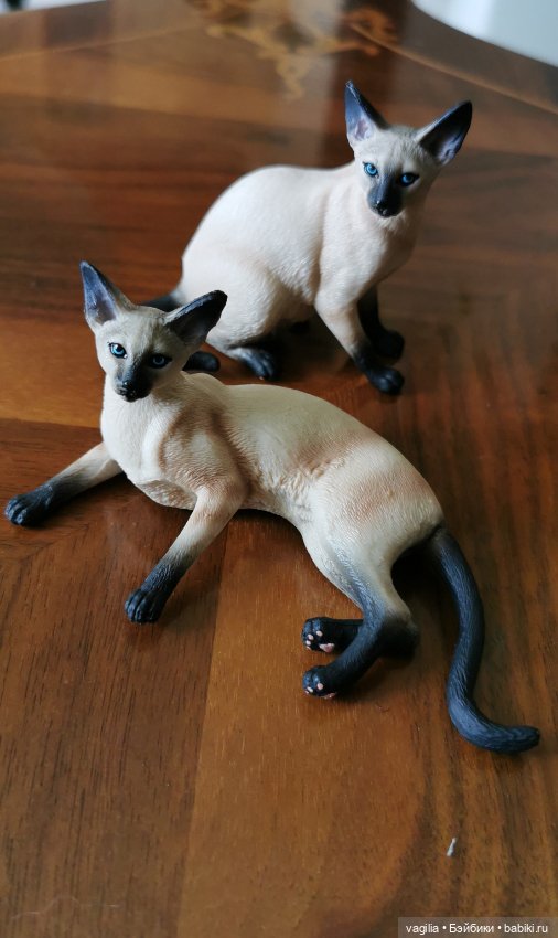 Сиамские кошки для Барби — В мире животных: смешные фото питомцев и зверей (фото 7)