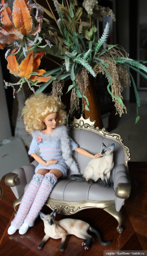 Сиамские кошки для Барби — В мире животных: смешные фото питомцев и зверей