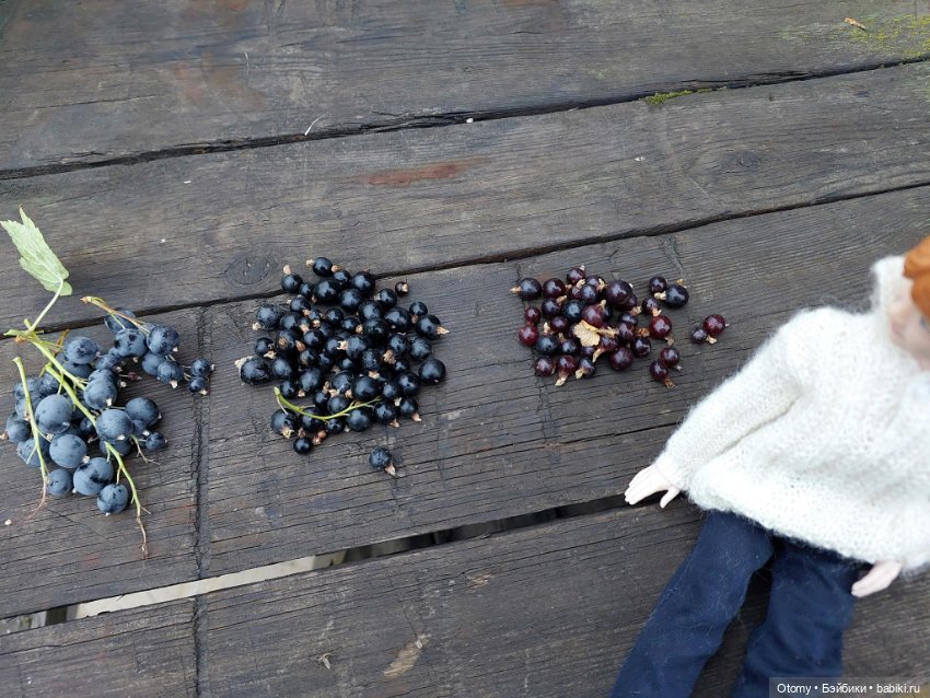 Куклопарни с моей куклополки