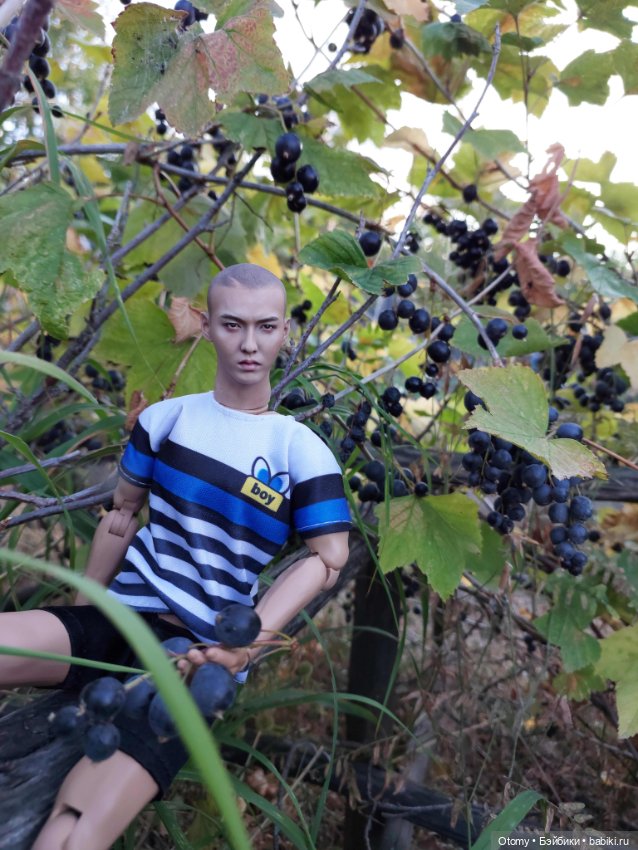 Куклопарни с моей куклополки (фото 6)