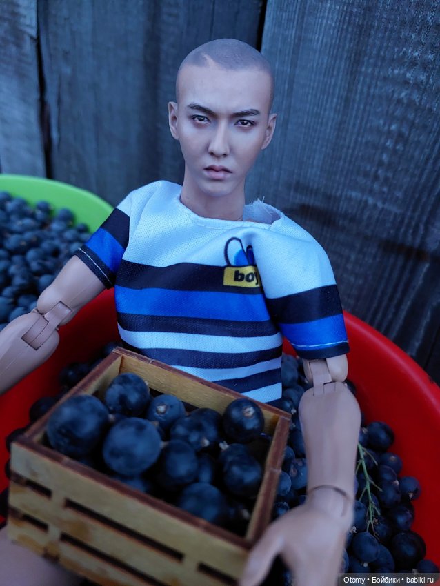 Куклопарни с моей куклополки (фото 7)