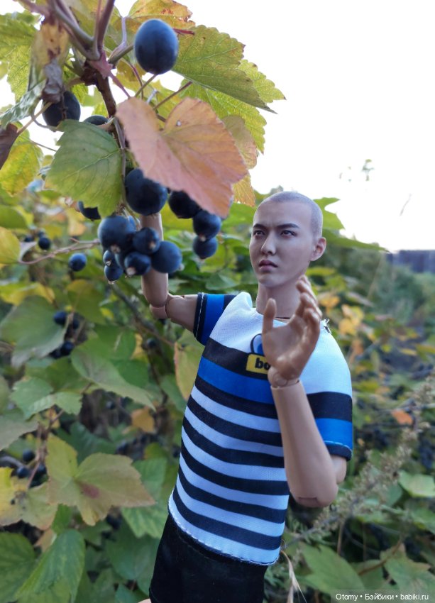 Куклопарни с моей куклополки (фото 3)