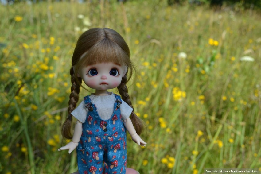 Это конец лета — Разные шарнирные куклы (не БЖД): редкие