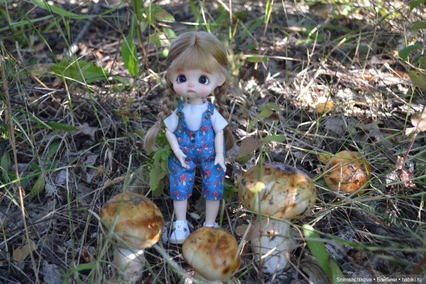Это конец лета — Разные шарнирные куклы (не БЖД): редкие (фото 4)