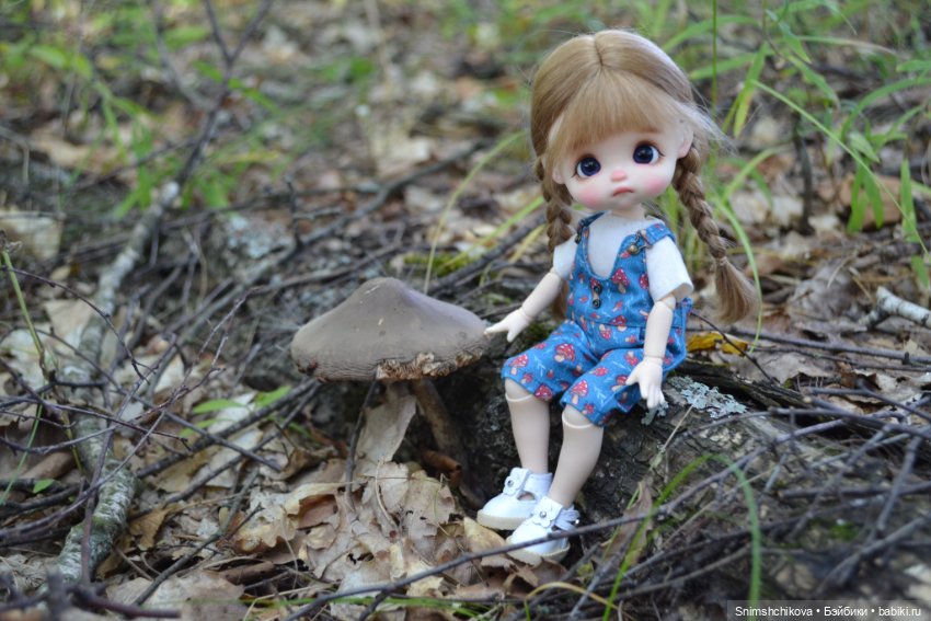 Это конец лета — Разные шарнирные куклы (не БЖД): редкие