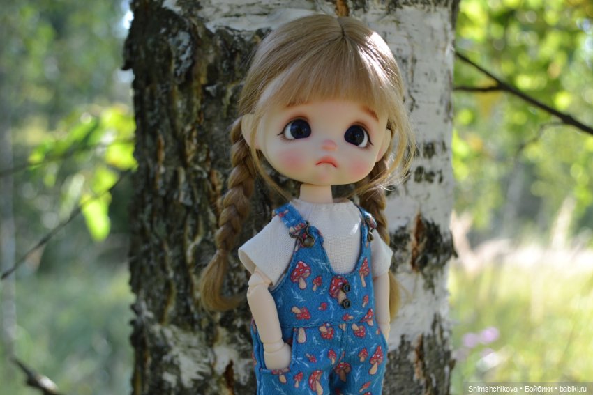 Это конец лета — Разные шарнирные куклы (не БЖД): редкие