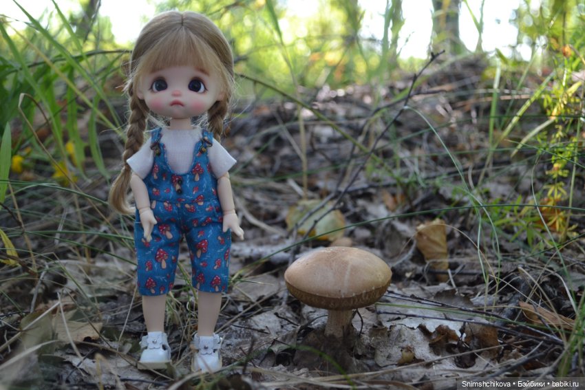 Это конец лета — Разные шарнирные куклы (не БЖД): редкие (фото 2)