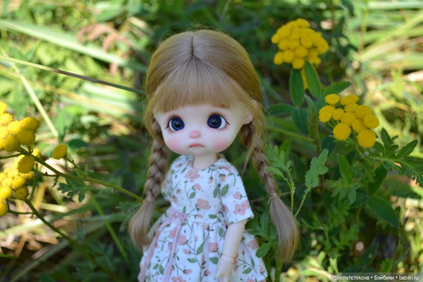 Это конец лета — Разные шарнирные куклы (не БЖД): редкие