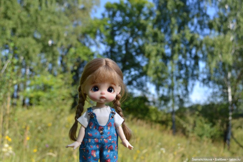 Это конец лета — Разные шарнирные куклы (не БЖД): редкие