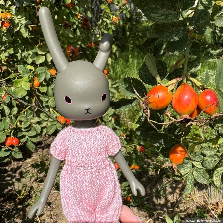 Зайка 🐰 — Куклы Momoko и Ruruko (Petworks (фото 4)