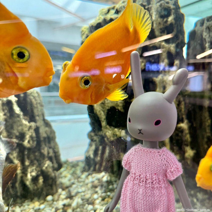 Зайка 🐰 — Куклы Momoko и Ruruko (Petworks (фото 6)