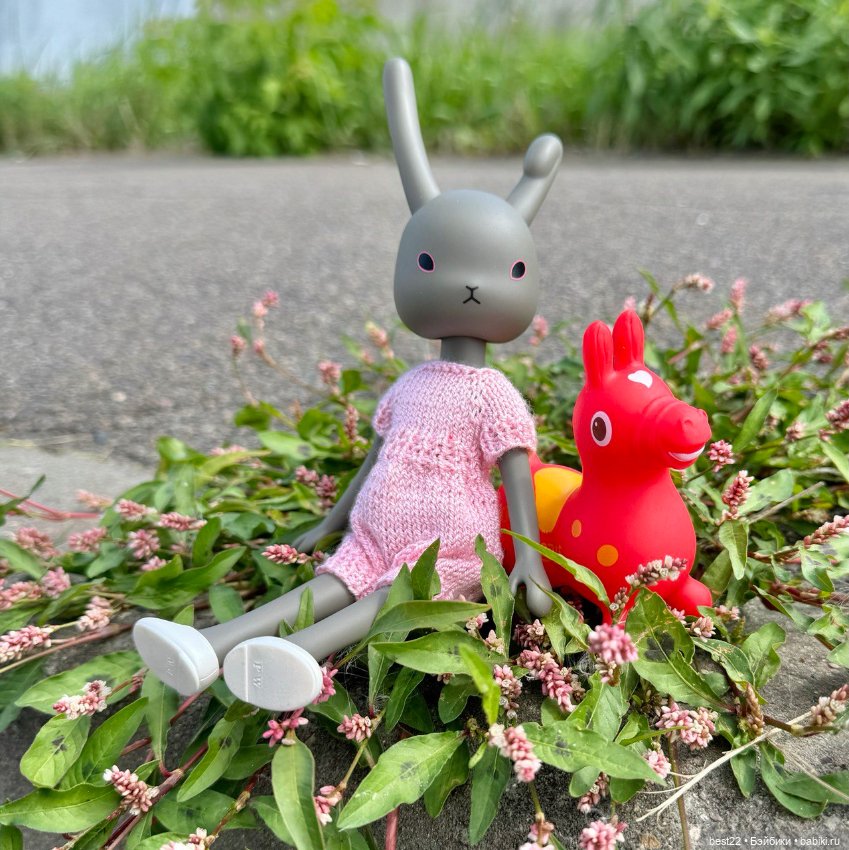 Зайка 🐰 — Куклы Momoko и Ruruko (Petworks (фото 2)
