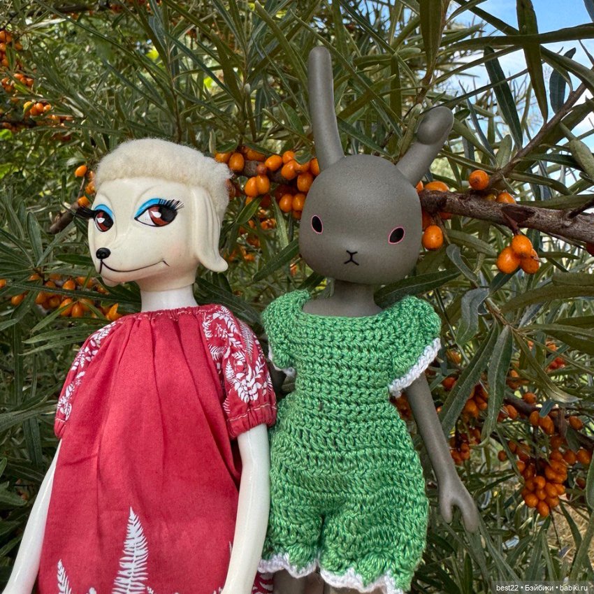 Зайка 🐰 — Куклы Momoko и Ruruko (Petworks (фото 9)