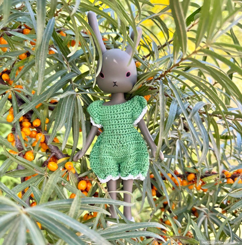 Зайка 🐰 — Куклы Momoko и Ruruko (Petworks (фото 7)