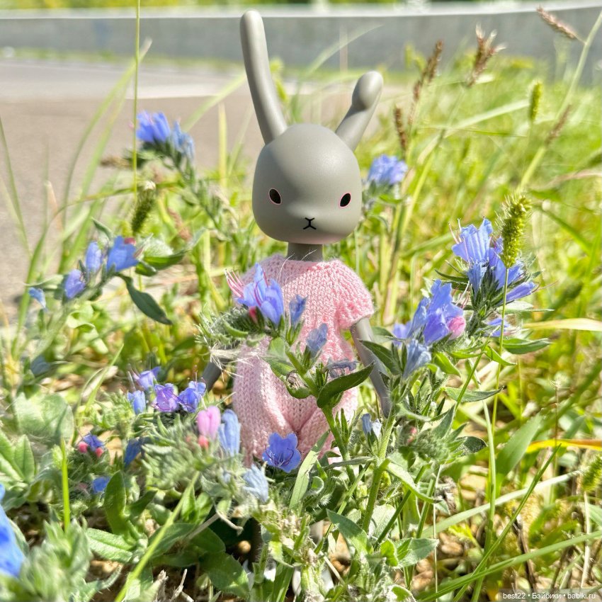 Зайка 🐰 — Куклы Momoko и Ruruko (Petworks (фото 8)