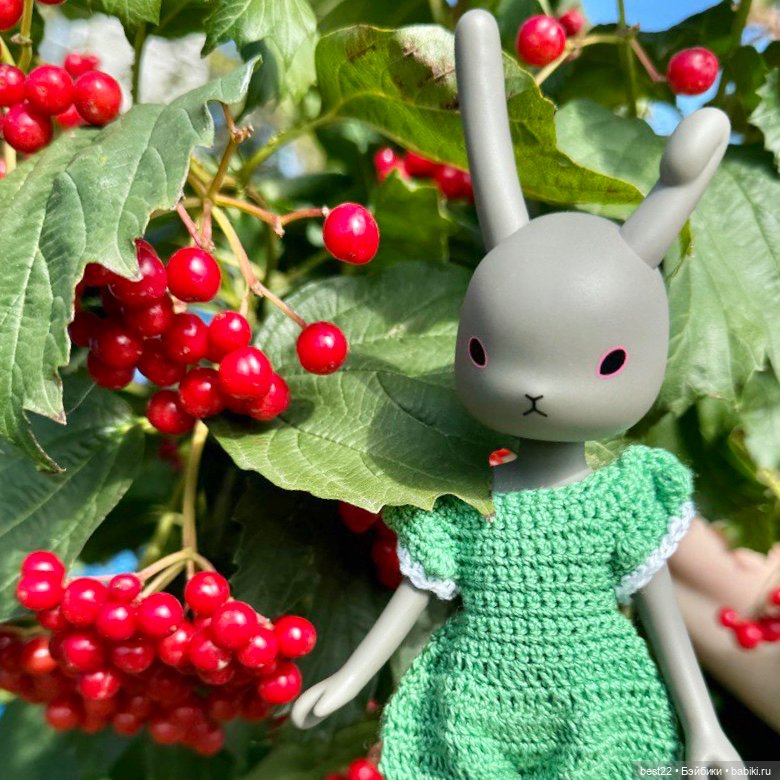 Зайка 🐰 — Куклы Momoko и Ruruko (Petworks