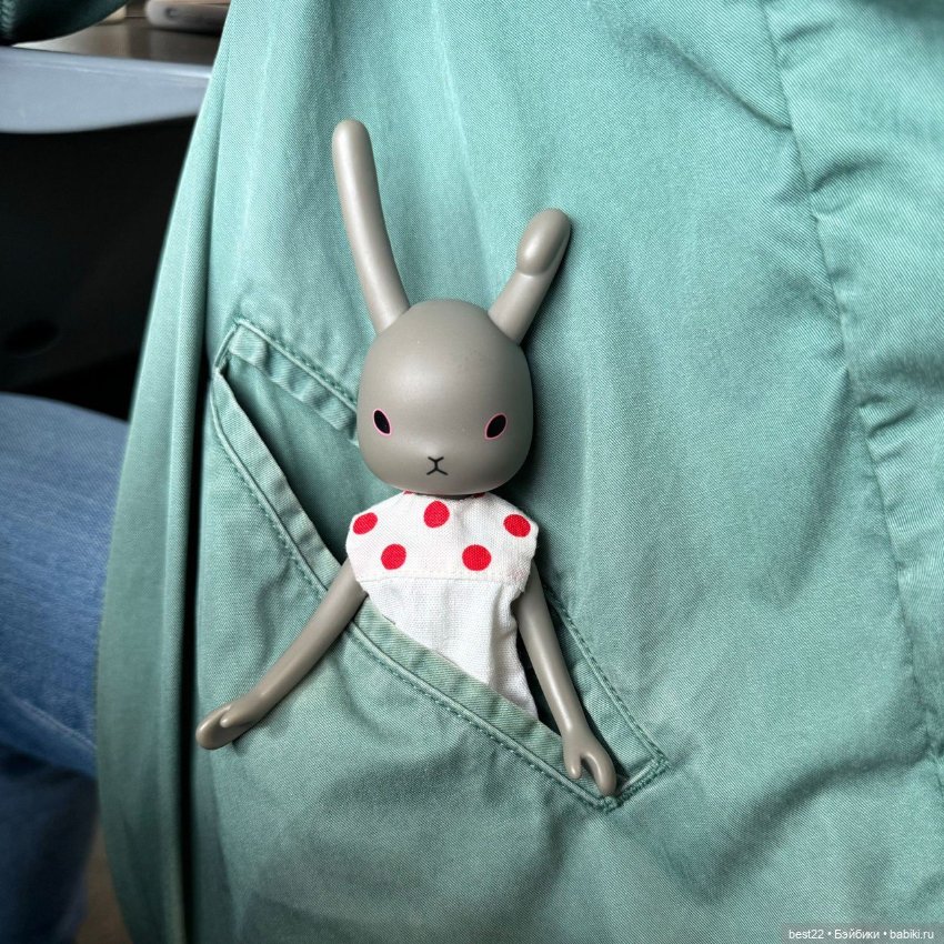 Зайка 🐰 — Куклы Momoko и Ruruko (Petworks (фото 10)