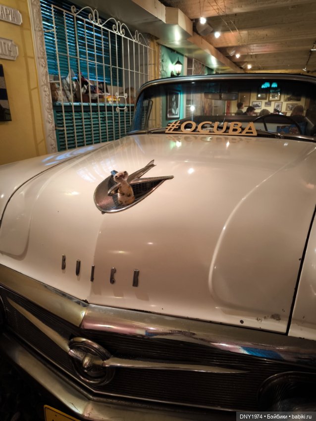 Говорить только на замороженном дайкири (фото 10)