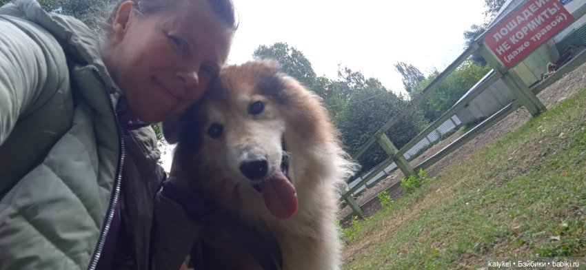 Попался который кусался — Коллекционные игрушки и фигурки: Lego