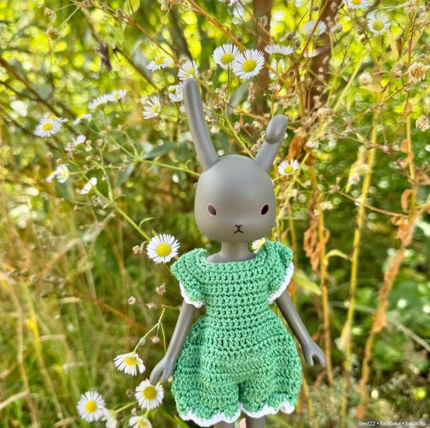 Зайка 🐰 — Куклы Momoko и Ruruko (Petworks