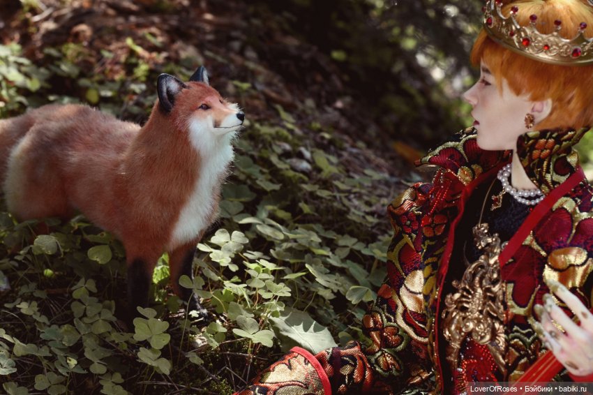 Обретение лисы — Фотоистории с куклами BJD (БЖД): сериалы (фото 4)