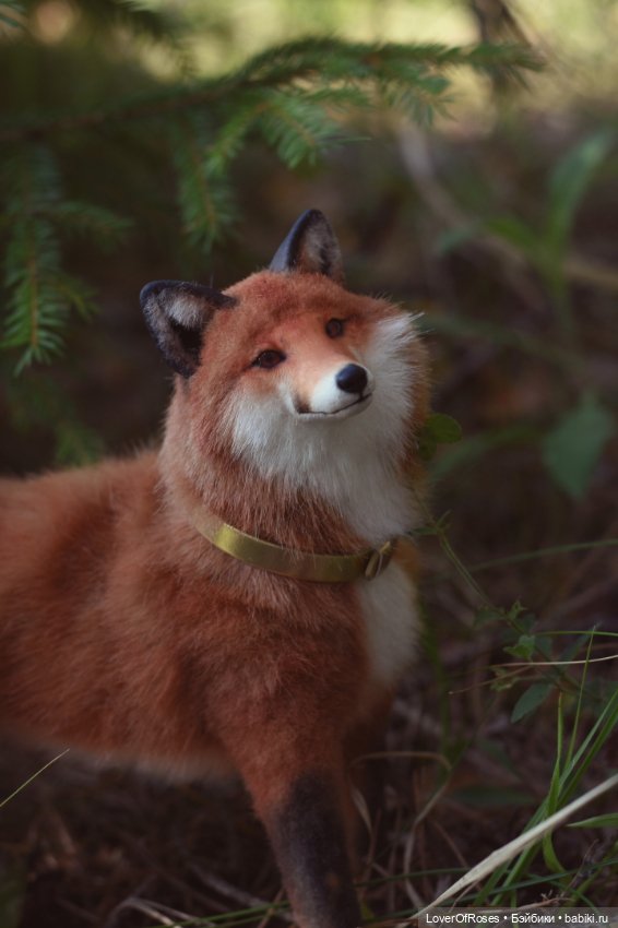 Обретение лисы — Фотоистории с куклами BJD (БЖД): сериалы (фото 5)