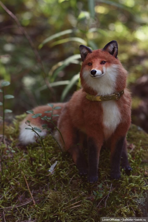 Обретение лисы — Фотоистории с куклами BJD (БЖД): сериалы (фото 6)