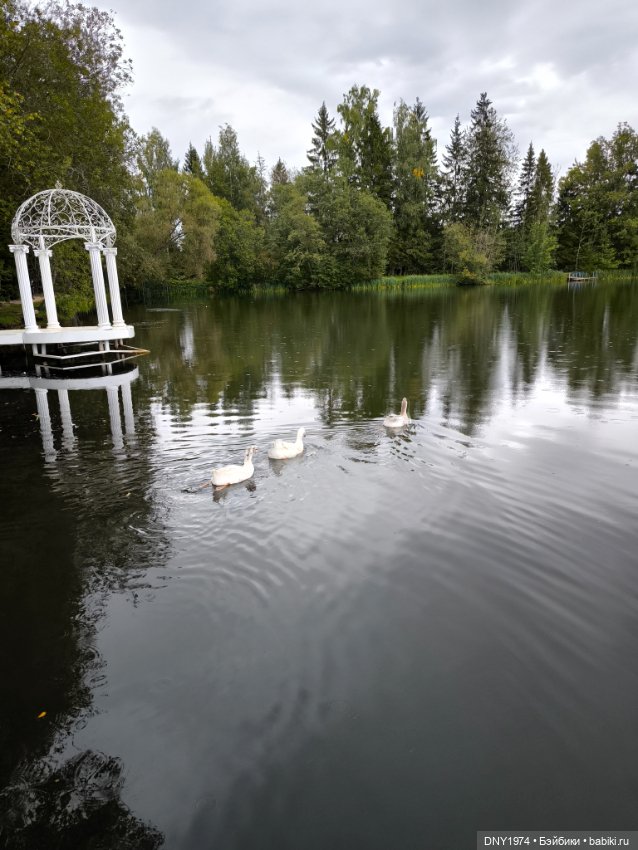 Отдых Некота — Коллекции фэшн