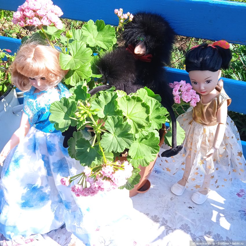 Лето, куклы цветы и ...ворона