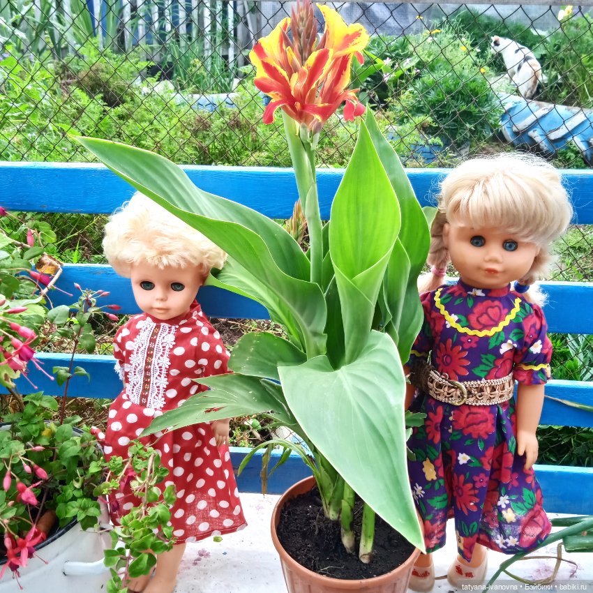 Лето, куклы цветы и ...ворона (фото 5)