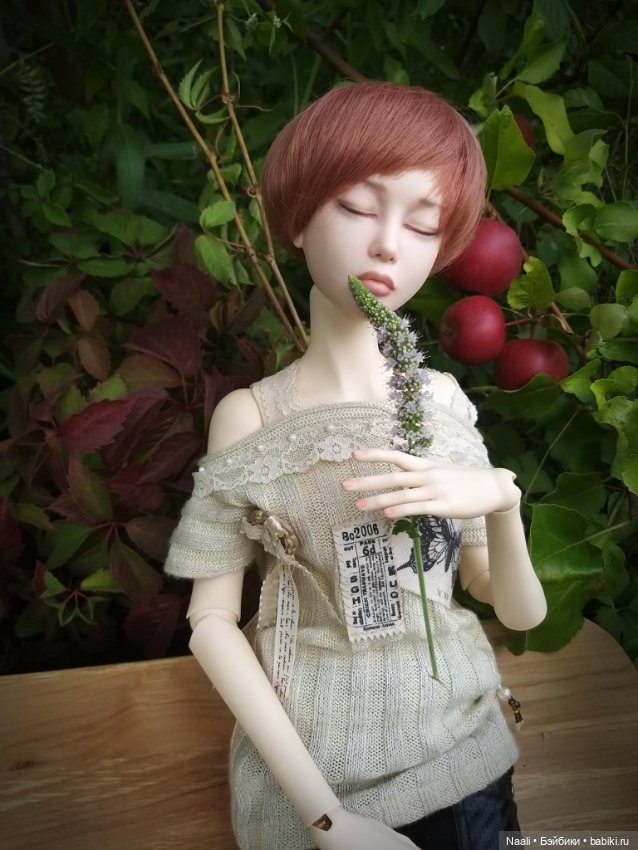 Заброшенный сад — Гибридизация кукол BJD (БЖД): пересадка головы (фото 3)