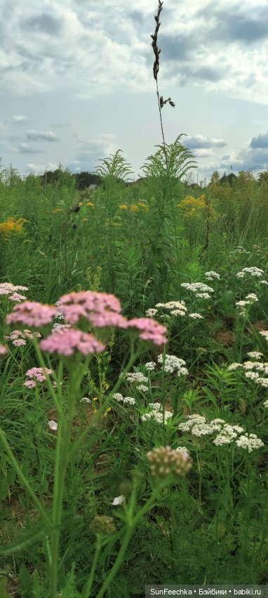 Велотур с Гошей по родным просторам (фото 5)
