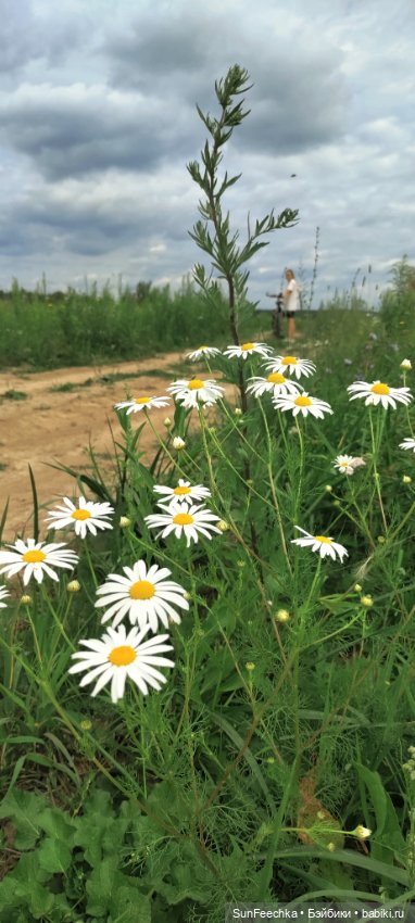 Велотур с Гошей по родным просторам (фото 6)