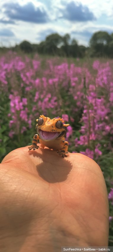 Велотур с Гошей по родным просторам