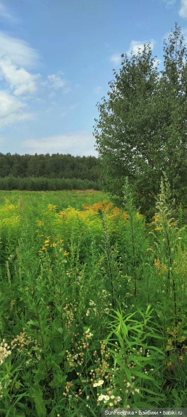 Велотур с Гошей по родным просторам