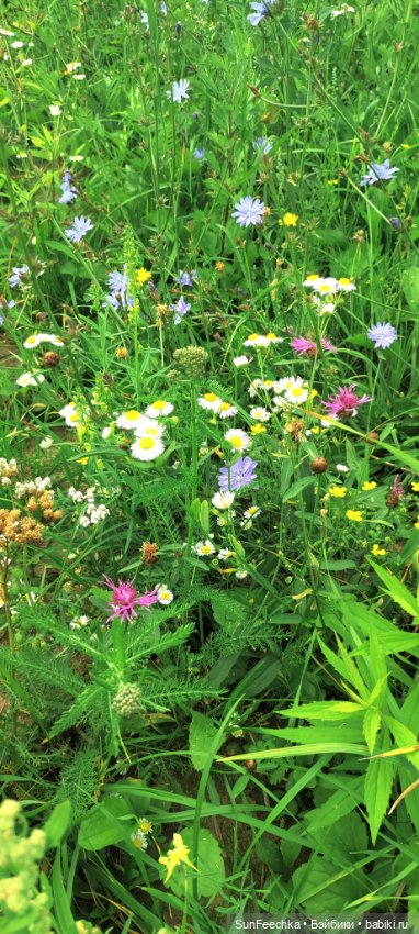 Велотур с Гошей по родным просторам