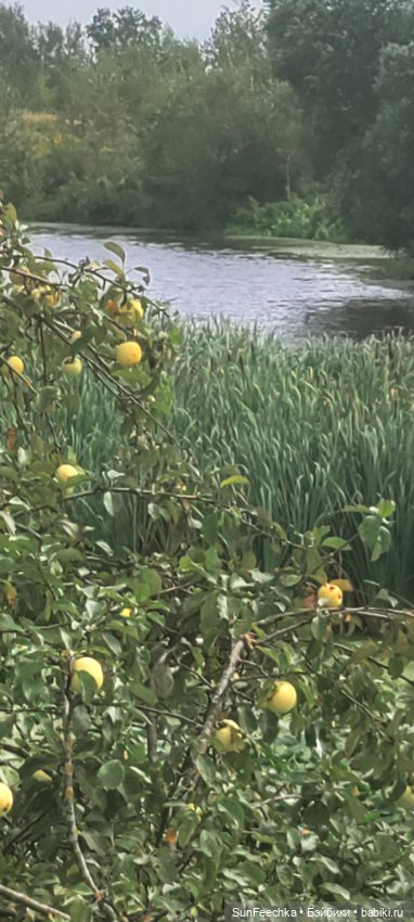 Велотур с Гошей по родным просторам