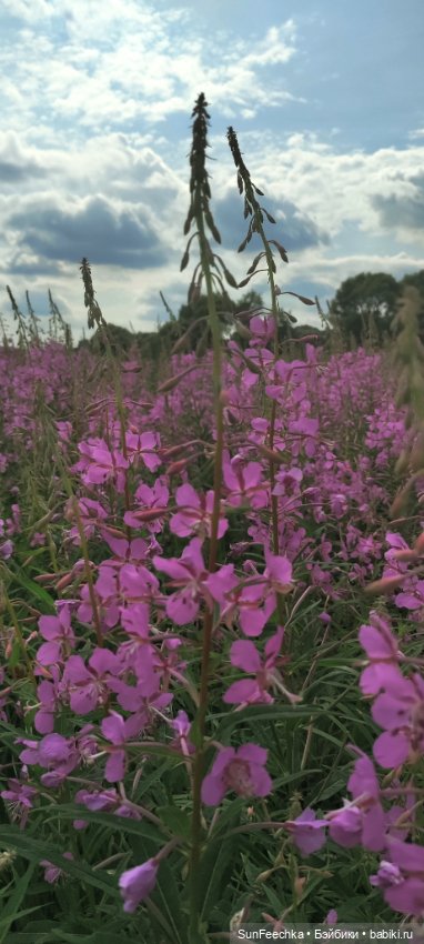 Велотур с Гошей по родным просторам