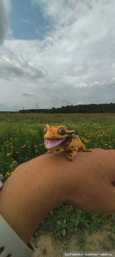 Велотур с Гошей по родным просторам (фото 3)