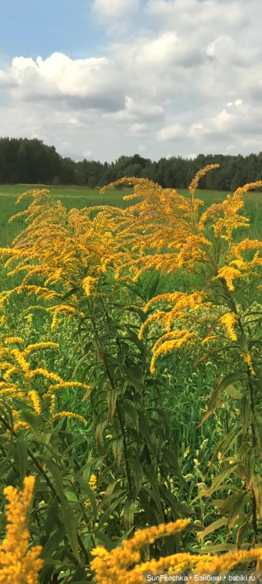 Велотур с Гошей по родным просторам