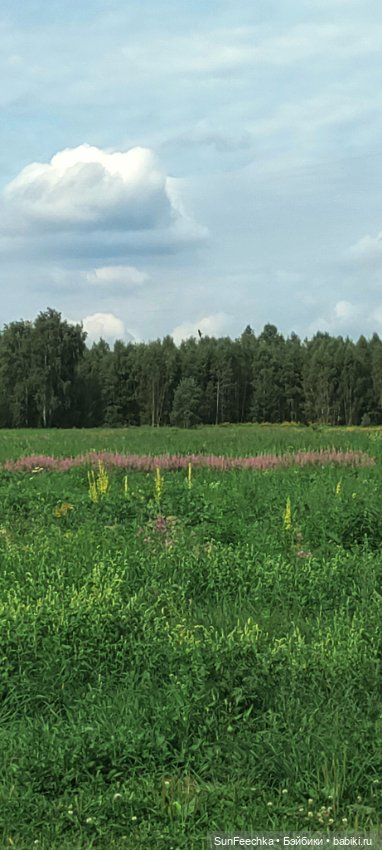 Велотур с Гошей по родным просторам