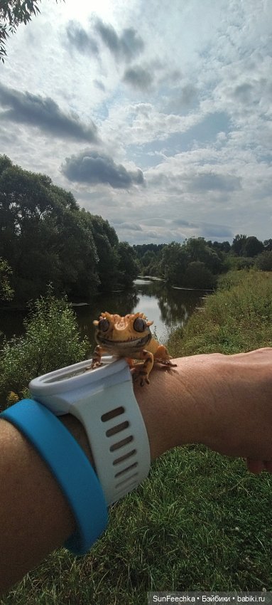 Велотур с Гошей по родным просторам