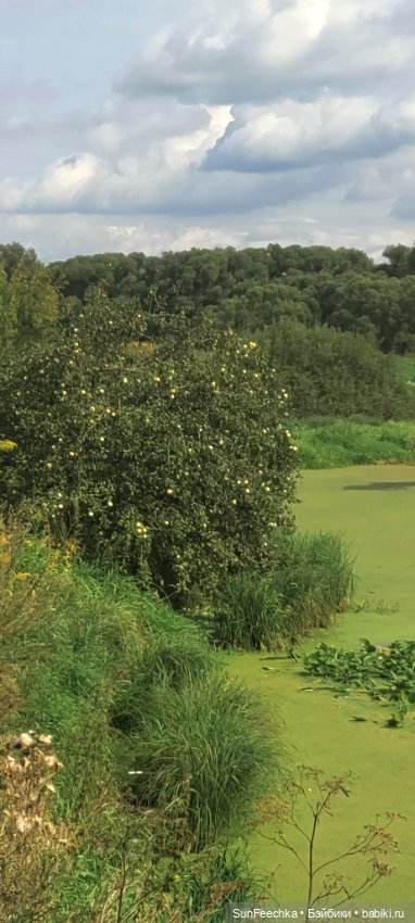 Велотур с Гошей по родным просторам