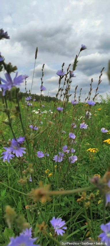 Велотур с Гошей по родным просторам (фото 4)