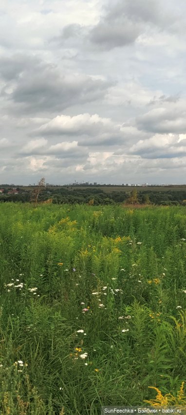 Велотур с Гошей по родным просторам (фото 7)
