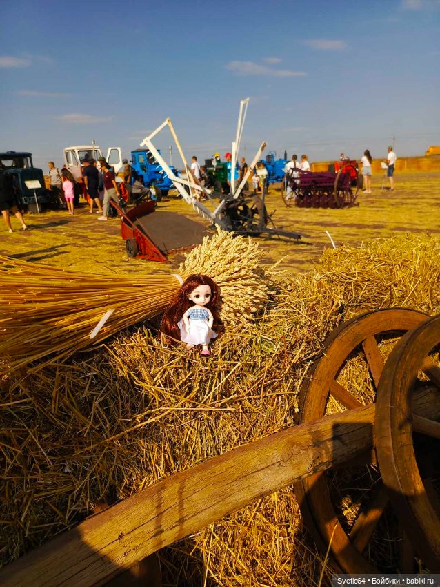 Наша Юлечка вчера посетила фестиваль пахоты в Саратове (фото 2)