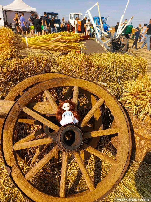 Наша Юлечка вчера посетила фестиваль пахоты в Саратове (фото 3)
