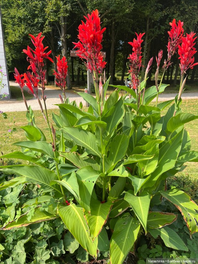 Музыкальная История 141 — Туризм и путешествия: фотоотчеты из поездок (фото 9)