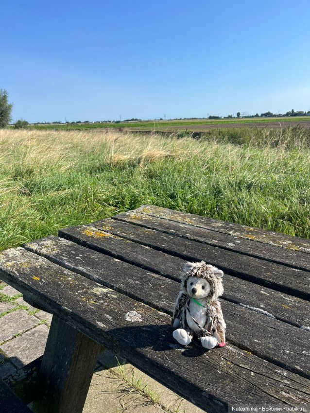 Музыкальная История 141 — Туризм и путешествия: фотоотчеты из поездок (фото 2)