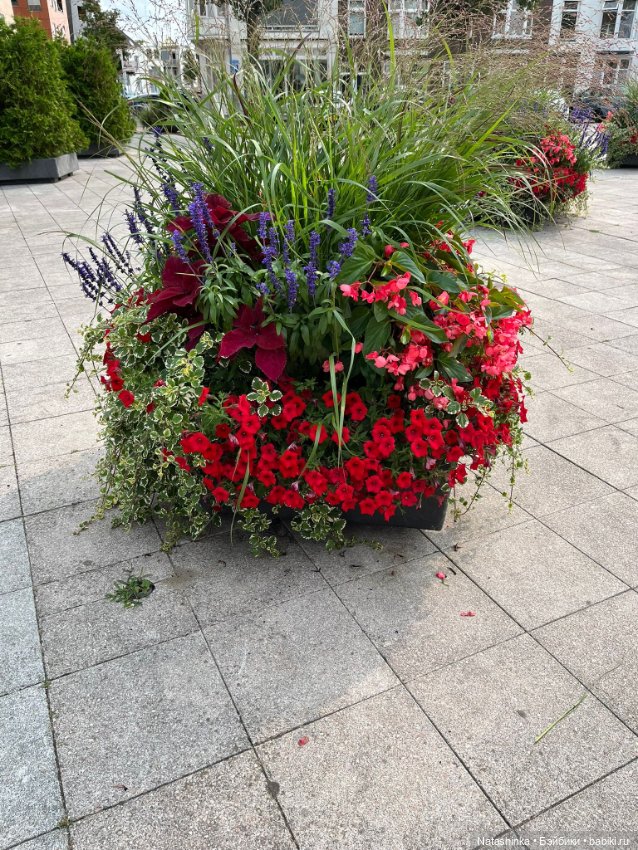 Музыкальная История 141 — Туризм и путешествия: фотоотчеты из поездок